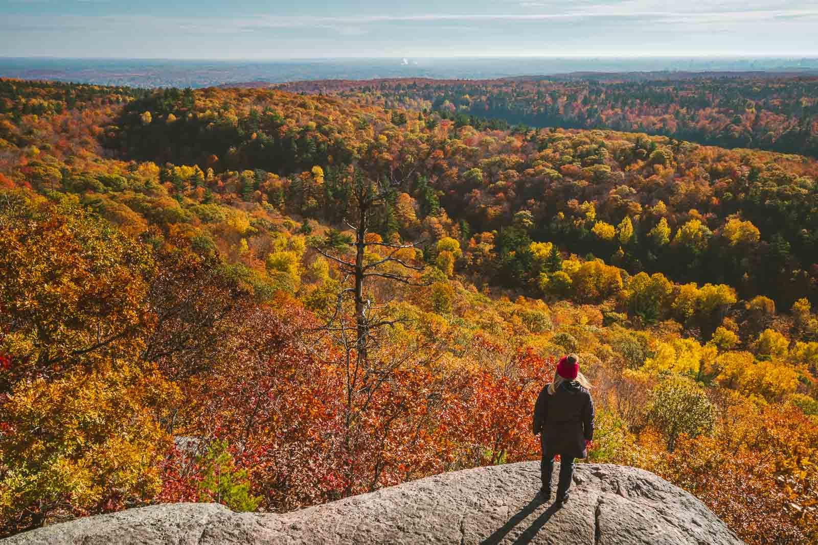 Canadian Seasons